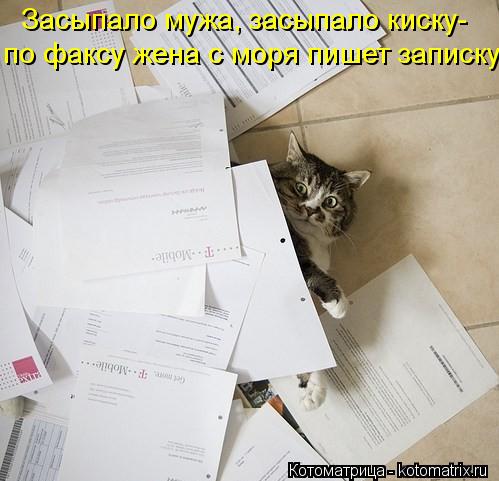 Засыпало мужа, засыпало киску- по факсу жена с моря пишет записку... Котоматрица: Засыпало мужа, засыпало киску- по факсу жена с моря пишет записку