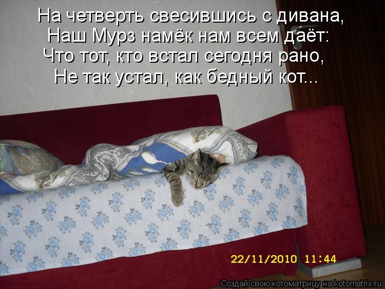 На четверть свесившись с дивана, Наш Мурз намёк нам всем даёт: Что тот, кто встал сегодня рано, Не та... Котоматрица: На четверть свесившись с дивана, Наш Мурз намёк нам всем даёт: Что тот, кто встал сегодня рано, Не так устал, как бедный кот...