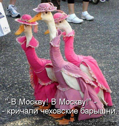 Котоматрица: "-В Москву! В Москву!" -  - кричали чеховские барышни.