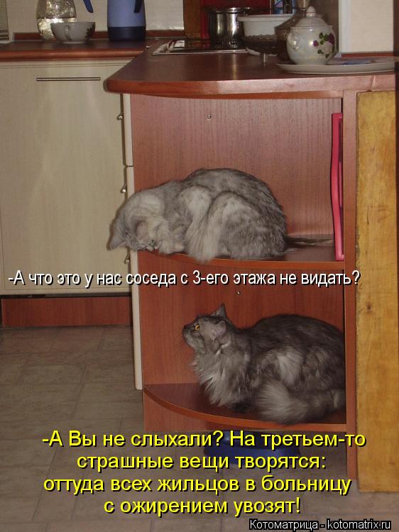 Котоматрица: -А Вы не слыхали? На третьем-то страшные вещи творятся: оттуда всех жильцов в больницу -А что это у нас соседа с 3-его этажа не видать?  с ожирен