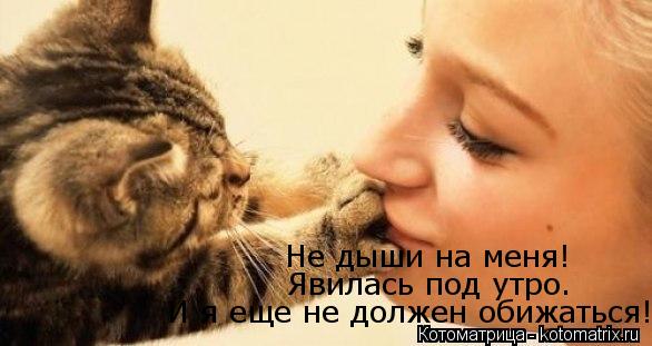 Котоматрица: Не дыши на меня! Явилась под утро. И я еще не должен обижаться!
