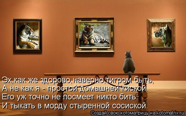Котоматрица: Эх,как же здорово,наверно,тигром быть, А не как я - простой домашней киской. Его уж точно не посмеет никто бить И тыкать в морду стыренной сос