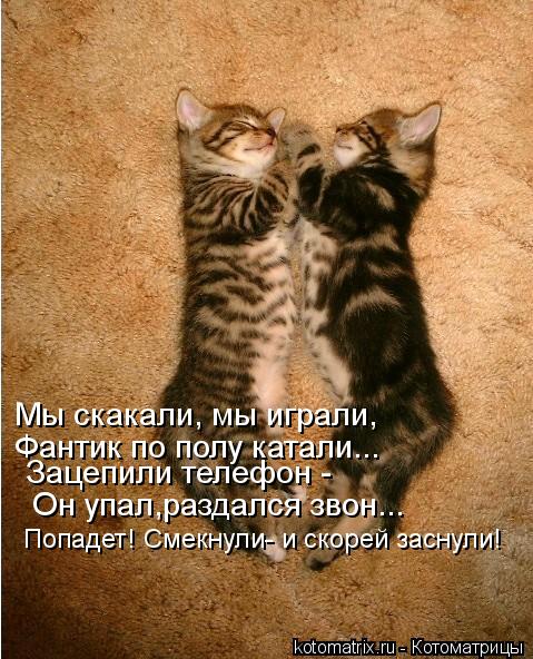 Мы скакали, мы играли, Фантик по полу катали... Зацепили телефон - Он упал,раздался звон... Попадет! ... Котоматрица: Мы скакали, мы играли, Фантик по полу катали... Зацепили телефон - Он упал,раздался звон... Попадет! Смекнули- и скорей заснули!