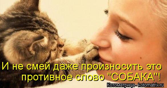 И не смей даже произносить это противное слово "СОБАКА"!... Котоматрица: И не смей даже произносить это противное слово "СОБАКА"!