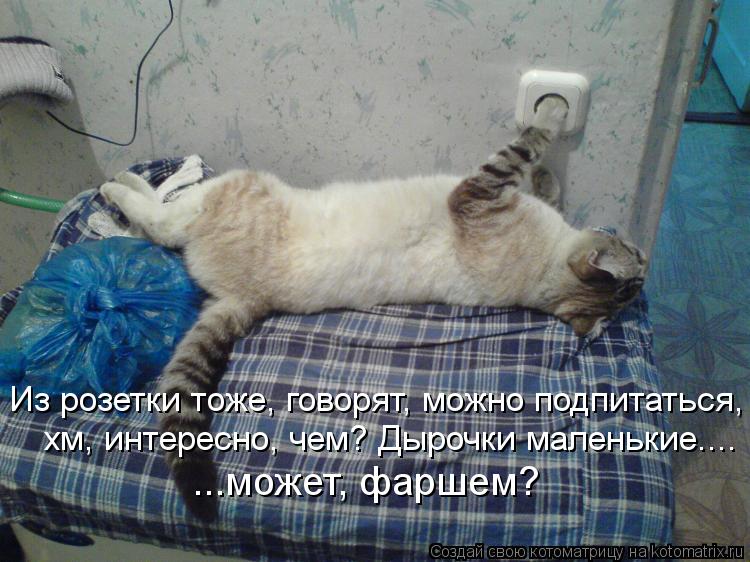 Котоматрица: Из розетки тоже, говорят, можно подпитаться, хм, интересно, чем? Дырочки маленькие.... ...может, фаршем?