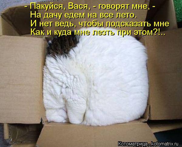 - Пакуйся, Вася, - говорят мне, - На дачу едем на все лето. И нет ведь, чтобы подсказать мне Как и ку... Котоматрица: - Пакуйся, Вася, - говорят мне, - На дачу едем на все лето. И нет ведь, чтобы подсказать мне Как и куда мне лезть при этом?!..