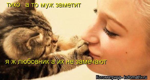 тихо а то муж заметит я ж любовник а их не замечают... Котоматрица: тихо а то муж заметит я ж любовник а их не замечают