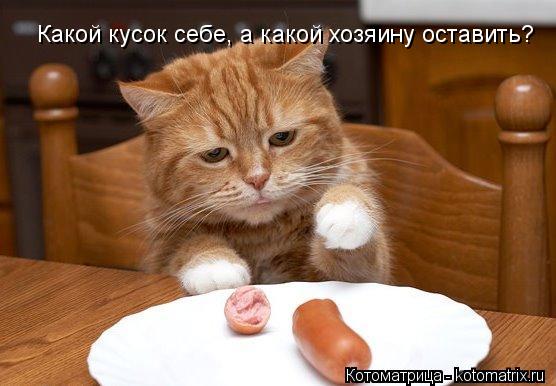 Какой кусок себе, а какой хозяину оставить?... Котоматрица: Какой кусок себе, а какой хозяину оставить?