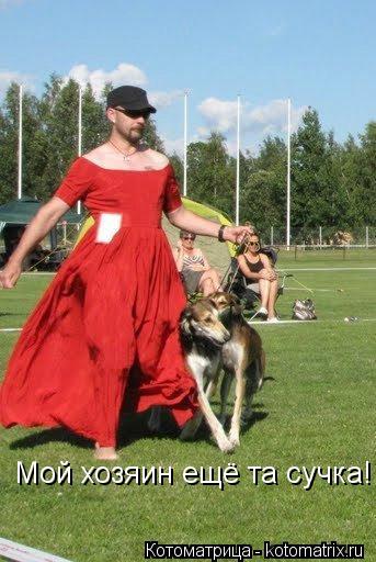 Мой хозяин ещё та сучка!... Котоматрица: Мой хозяин ещё та сучка!