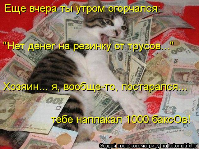 Котоматрица: Еще вчера ты утром огорчался: "Нет денег на резинку от трусов..." Хозяин... я, вообще-то, постарался... тебе наплакал 1000 баксОв!