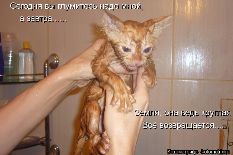 Сегодня вы глумитесь надо мной, а завтра...... Земля, она ведь круглая Всё возвращается....... Котоматрица: Сегодня вы глумитесь надо мной, а завтра...... Земля, она ведь круглая Всё возвращается....
