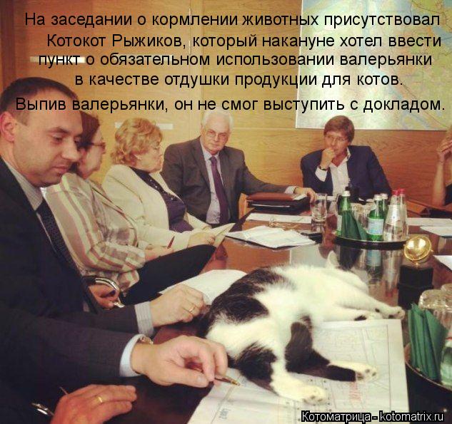 На заседании о кормлении животных присутствовал Котокот Рыжиков, который накануне хотел ввести пункт ... Котоматрица: На заседании о кормлении животных присутствовал Котокот Рыжиков, который накануне хотел ввести пункт о обязательном использовании валерь