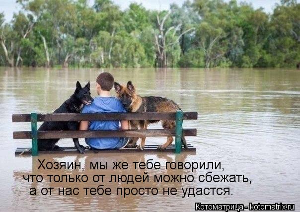 Хозяин, мы же тебе говорили, что только от людей можно сбежать, а от нас тебе просто не удастся.... Котоматрица: Хозяин, мы же тебе говорили, что только от людей можно сбежать, а от нас тебе просто не удастся.