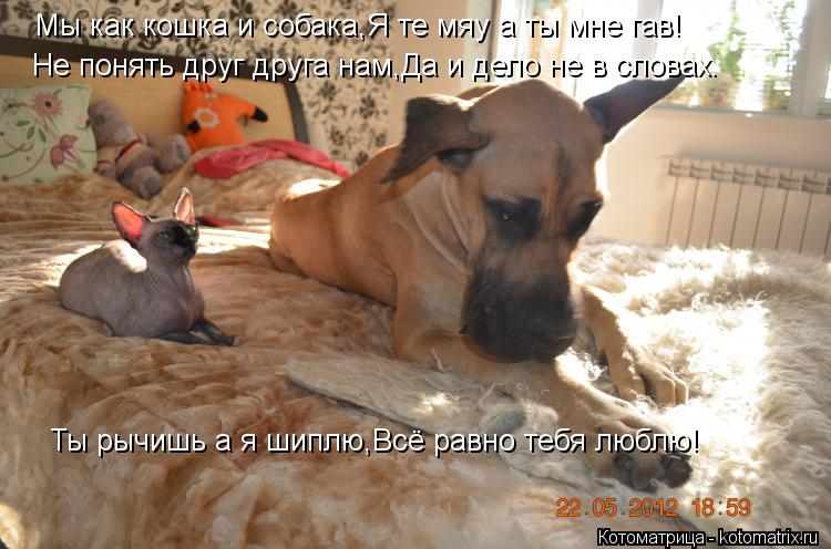 если люди друг другу нравятся как это понять если люди друг другу нравятся как это понять