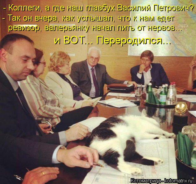 - Коллеги, а где наш главбух Василий Петрович? - Так он вчера, как услышал, что к нам едет ревизор, в... Котоматрица: - Коллеги, а где наш главбух Василий Петрович? - Так он вчера, как услышал, что к нам едет ревизор, валерьянку начал пить от нервов… и ВОТ... Пе