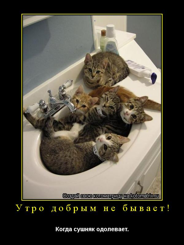 Котоматрица: Утро добрым не бывает! Когда сушняк одолевает.