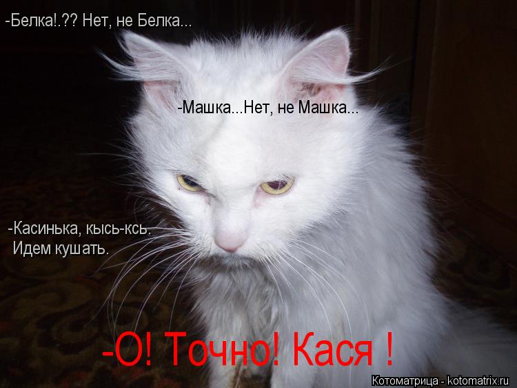 -Белка!.?? Нет, не Белка... -Машка...Нет, не Машка... -Касинька, кысь-ксь. Идем кушать. -О! Точно! Ка... Котоматрица: -Белка!.?? Нет, не Белка... -Машка...Нет, не Машка... -Касинька, кысь-ксь. Идем кушать. -О! Точно! Кася !