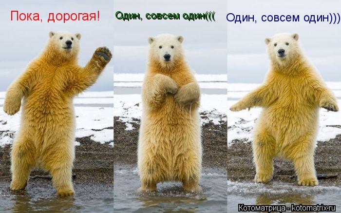 http://kotomatrix.ru/images/lolz/2012/09/16/kotomatritsa_FP.jpg