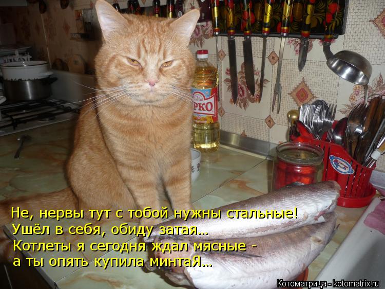 Котоматрица: Не, нервы тут с тобой нужны стальные! Ушёл в себя, обиду затая… Котлеты я сегодня ждал мясные - а ты опять купила минтаЯ…