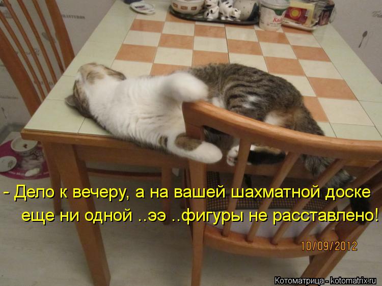 - Дело к вечеру, а на вашей шахматной доске еще ни одной ..ээ ..фигуры не расставлено!... Котоматрица: - Дело к вечеру, а на вашей шахматной доске еще ни одной ..ээ ..фигуры не расставлено!