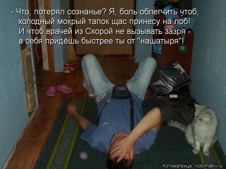 Котоматрица: холодный мокрый тапок щас принесу на лоб!  И чтоб врачей из Скорой не вызывать зазря - в себя придёшь быстрее ты от "нашатыря"!  - Что, потерял с