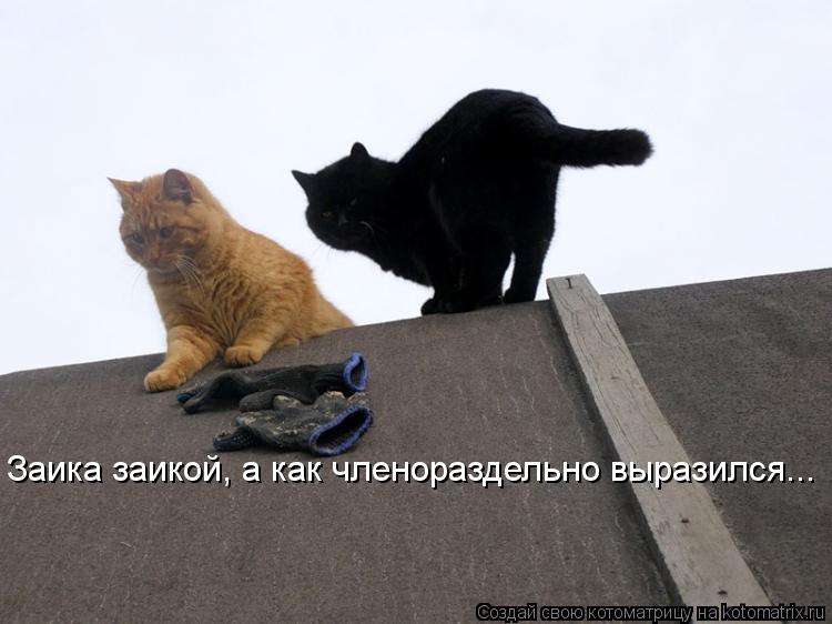 Заика заикой, а как членораздельно выразился...... Котоматрица: Заика заикой, а как членораздельно выразился...