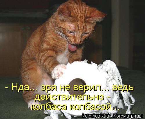 Котоматрица: - Нда... зря не верил... ведь действительно - колбаса колбасой...