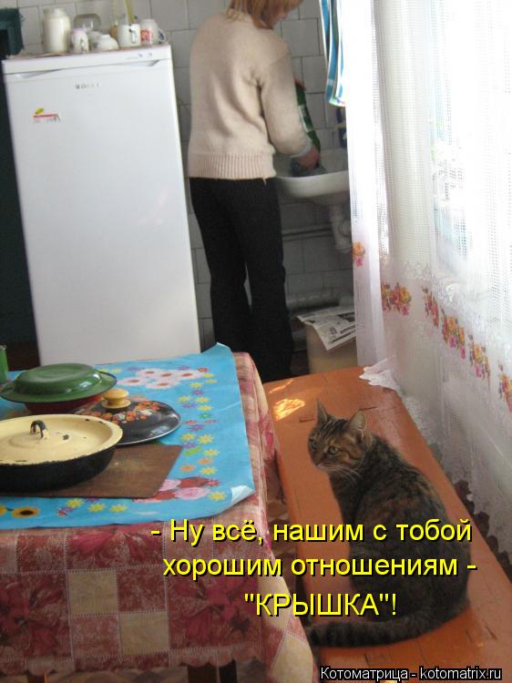 Котоматрица: - Ну всё, нашим с тобой хорошим отношениям - "КРЫШКА"!