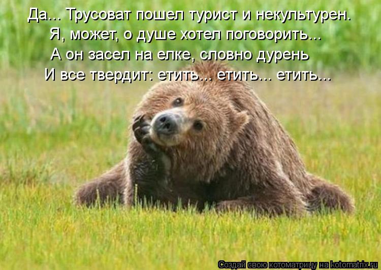 Котоматрица: Да... Трусоват пошел турист и некультурен. Я, может, о душе хотел поговорить...  А он засел на елке, словно дурень И все твердит: етить... етить... 