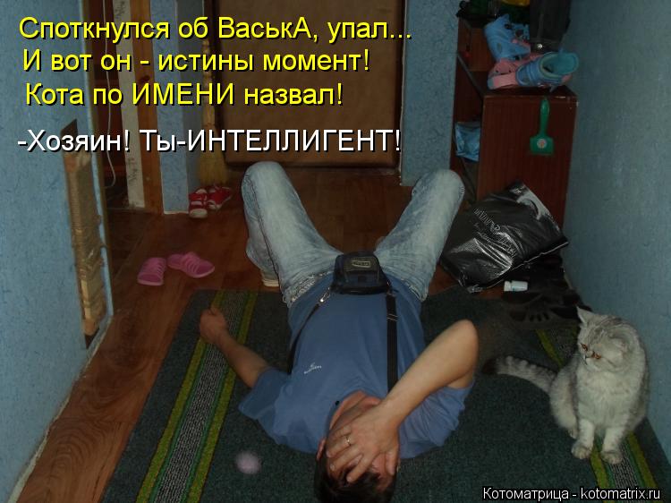 Котоматрица: И вот он - истины момент! -Хозяин! Ты-ИНТЕЛЛИГЕНТ! Споткнулся об ВаськА, упал... Кота по ИМЕНИ назвал!