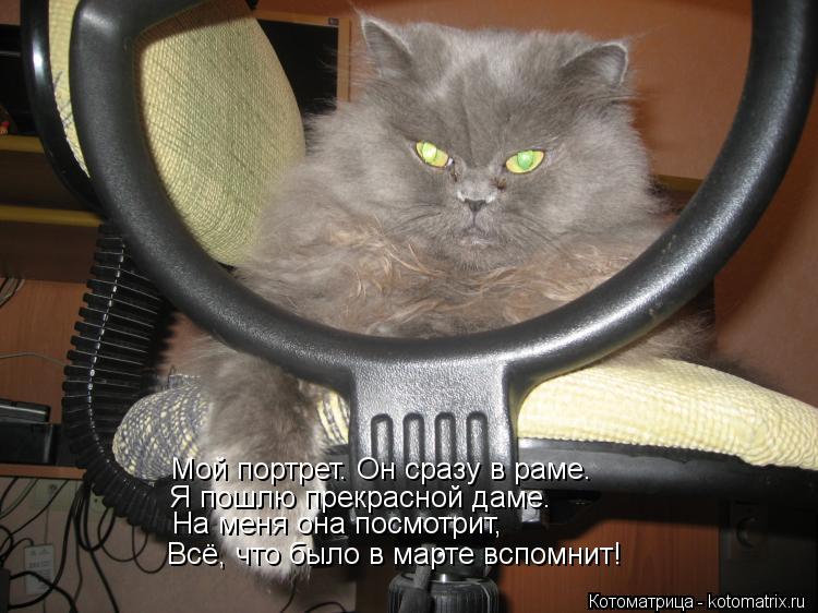 Котоматрица: Мой портрет. Он сразу в раме. Я пошлю прекрасной даме. На меня она посмотрит, Всё, что было в марте вспомнит!