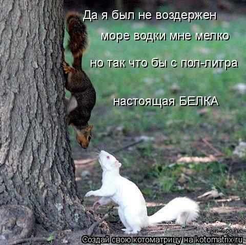 Да я был не воздержен море водки мне мелко но так что бы с пол-литра настоящая БЕЛКА... Котоматрица: Да я был не воздержен море водки мне мелко но так что бы с пол-литра настоящая БЕЛКА