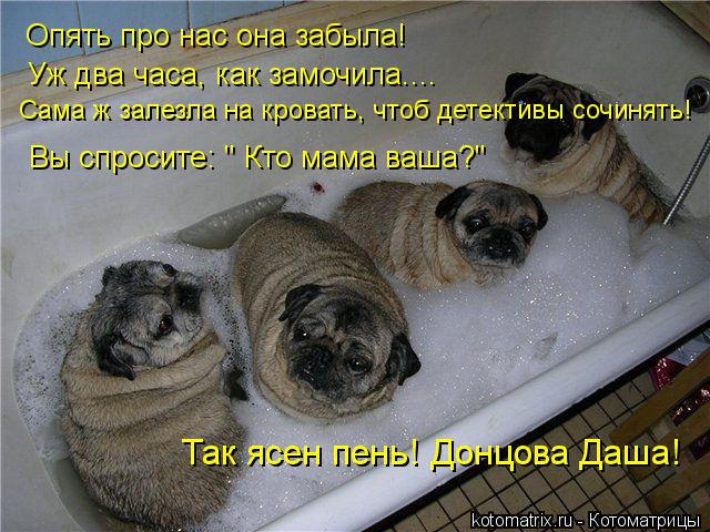 Котоматрица: Опять про нас она забыла! Уж два часа, как замочила.... Сама ж залезла на кровать, чтоб детективы сочинять! Так ясен пень! Донцова Даша! Вы спро