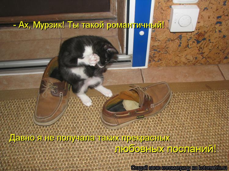 - Ах, Мурзик! Ты такой романтичный! Давно я не получала таких прекрасных любовных посланий!... Котоматрица: - Ах, Мурзик! Ты такой романтичный! Давно я не получала таких прекрасных любовных посланий!