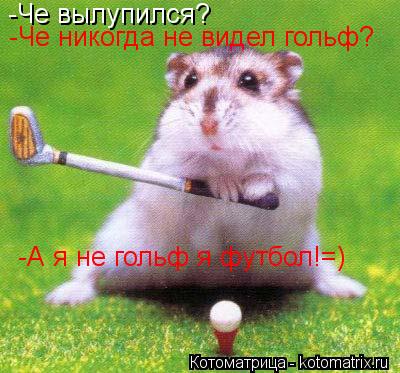 -Че вылупился? -Че никогда не видел гольф? -А я не гольф я футбол!=)... Котоматрица: -Че вылупился? -Че никогда не видел гольф? -А я не гольф я футбол!=)