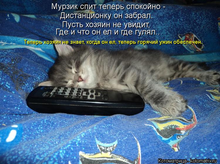 Мурзик спит теперь спокойно - Дистанционку он забрал. Пусть хозяин не увидит, Где и что он ел и где ... Котоматрица: Мурзик спит теперь спокойно - Дистанционку он забрал. Пусть хозяин не увидит, Где и что он ел и где гулял.. Теперь хозяин не знает, когда он ел
