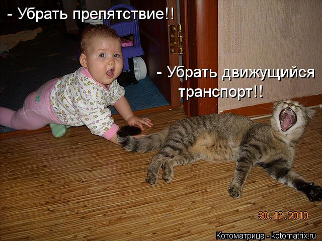 Котоматрица: - Убрать препятствие!! - Убрать движущийся транспорт!!