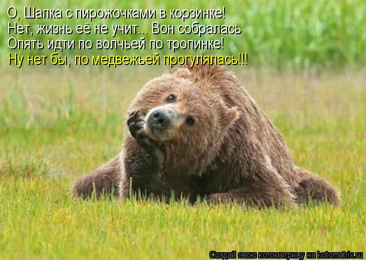 Котоматрица: О, Шапка с пирожочками в корзинке! Нет, жизнь её не учит... Вон собралась Опять идти по волчьей по тропинке! Ну нет бы, по медвежьей прогулялас