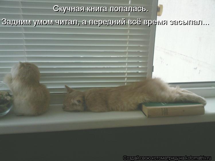 Скучная книга попалась. Задним умом читал, а передний всё время засыпал...... Котоматрица: Скучная книга попалась. Задним умом читал, а передний всё время засыпал...