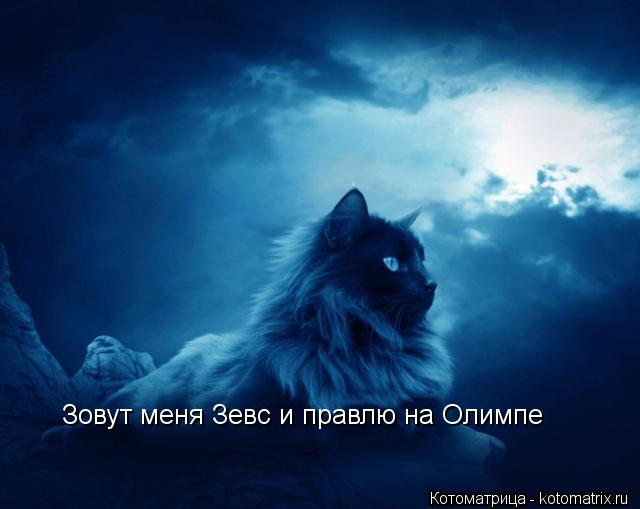 Зовут меня Зевс и правлю на Олимпе... Котоматрица: Зовут меня Зевс и правлю на Олимпе