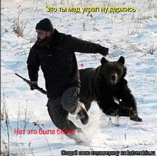 Это ты мед украл ну держись Нет это была белка... Котоматрица: Это ты мед украл ну держись Нет это была белка