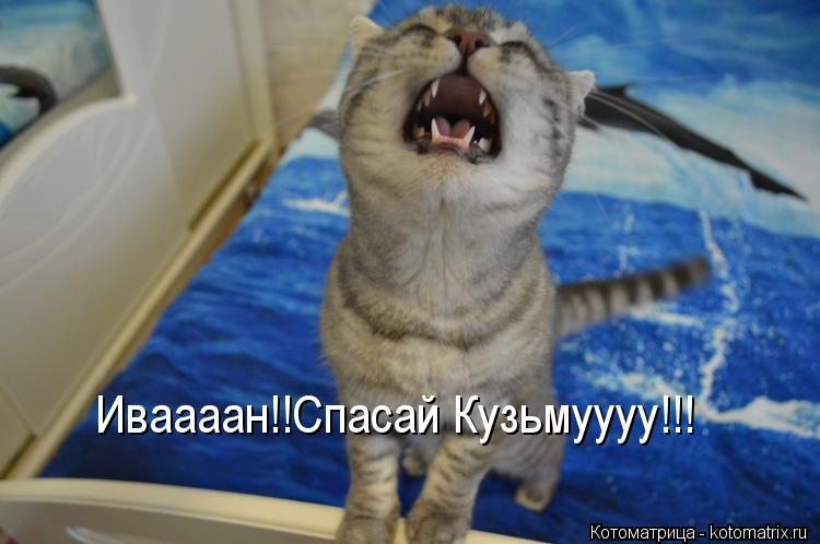 Иваааан!!Спасай Кузьмуууу!!!... Котоматрица: Иваааан!!Спасай Кузьмуууу!!!