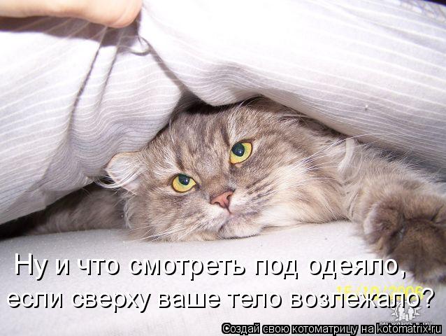 Ну и что смотреть под одеяло, если сверху ваше тело возлежало?... Котоматрица: Ну и что смотреть под одеяло, если сверху ваше тело возлежало?