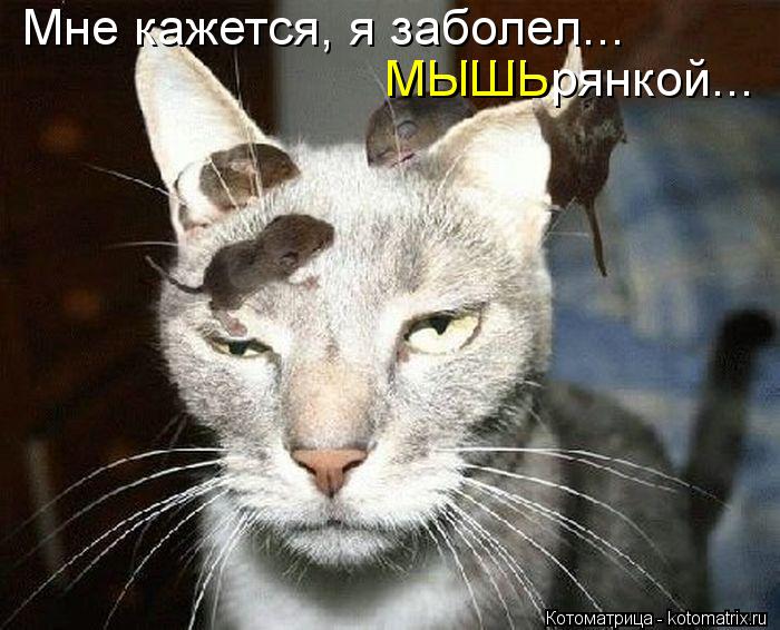 Мне кажется, я заболел... МЫШЬрянкой... МЫШЬ... Котоматрица: Мне кажется, я заболел... МЫШЬрянкой... МЫШЬ