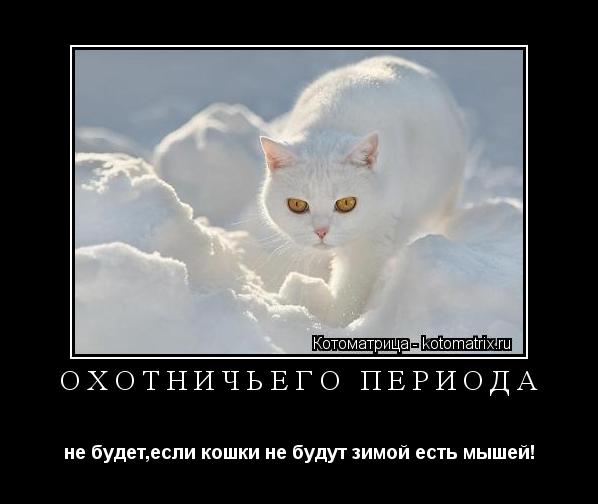 Котоматрица: ОХОТНИЧЬЕГО ПЕРИОДА не будет,если кошки не будут зимой есть мышей!