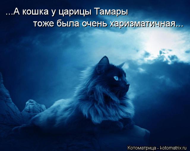 Котоматрица: ...А кошка у царицы Тамары тоже была очень харизматичная...