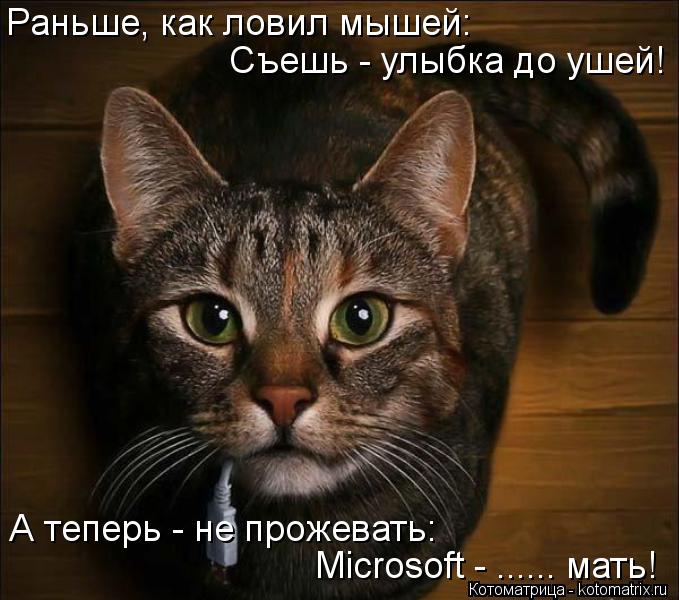 Съешь - улыбка до ушей! А теперь - не прожевать: Microsoft - ...... мать! Раньше, как ловил мышей:... Котоматрица: Съешь - улыбка до ушей! А теперь - не прожевать: Microsoft - ...... мать! Раньше, как ловил мышей: