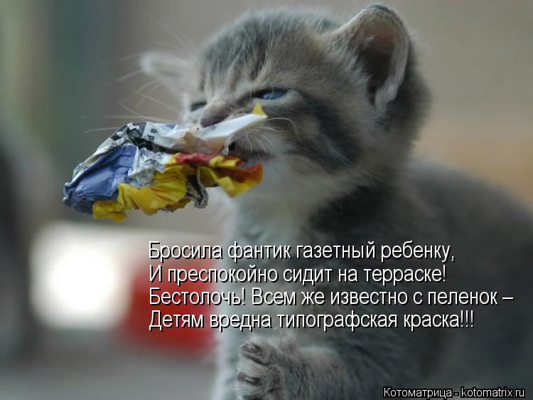 Бросила фантик газетный ребенку, И преспокойно сидит на терраске! Бестолочь! Всем же известно с пелен... Котоматрица: Бросила фантик газетный ребенку, И преспокойно сидит на терраске! Бестолочь! Всем же известно с пеленок – Детям вредна типографская краска