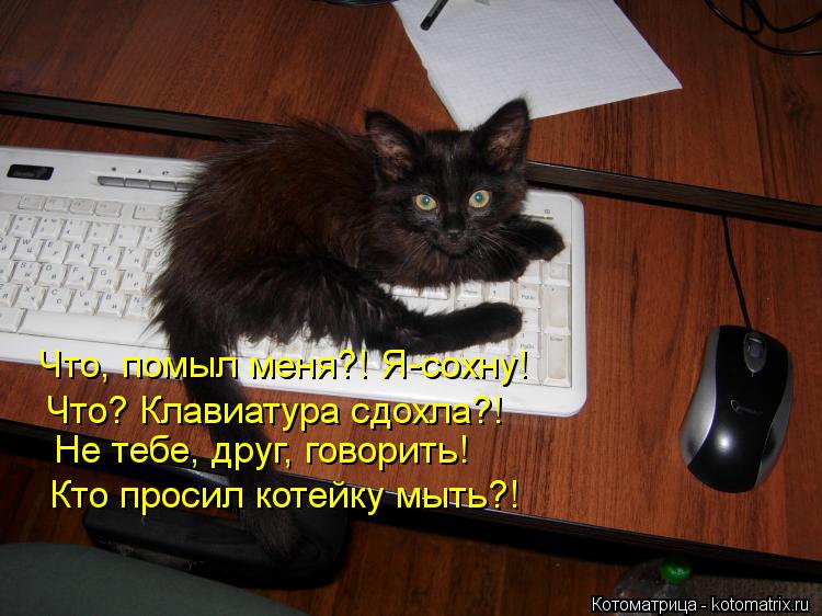 http://kotomatrix.ru/images/lolz/2012/09/22/kotomatritsa_d0.jpg