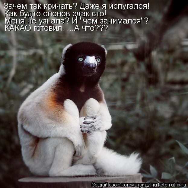 Зачем так кричать? Даже я испугался! Как будто слонов эдак сто! Меня не узнала? И "чем занимался"? КА... Котоматрица: Зачем так кричать? Даже я испугался! Как будто слонов эдак сто! Меня не узнала? И "чем занимался"? КАКАО готовил. ...А что???